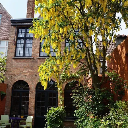 Bed and breakfast Next Door 4*